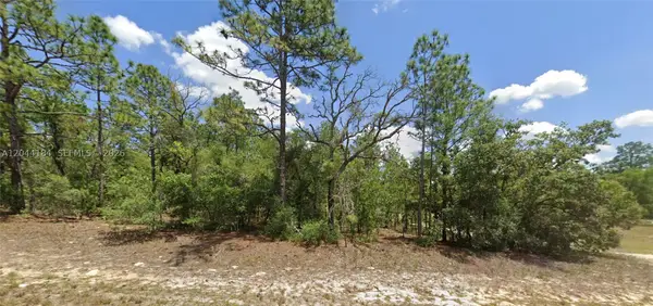 9857 N Lathyrus Ter, Citrus Springs, FL 34433