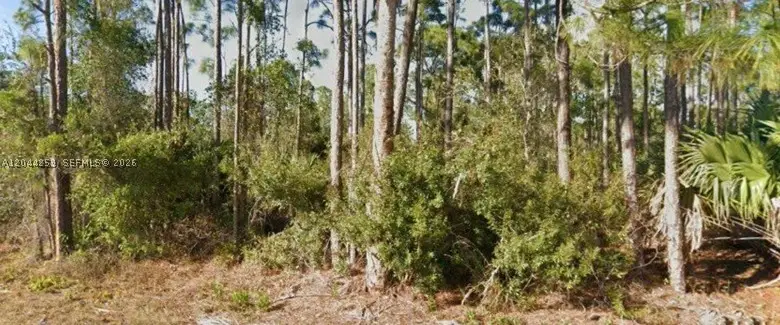 26442 Scham Rd, Punta Gorda, FL 33955 - #1