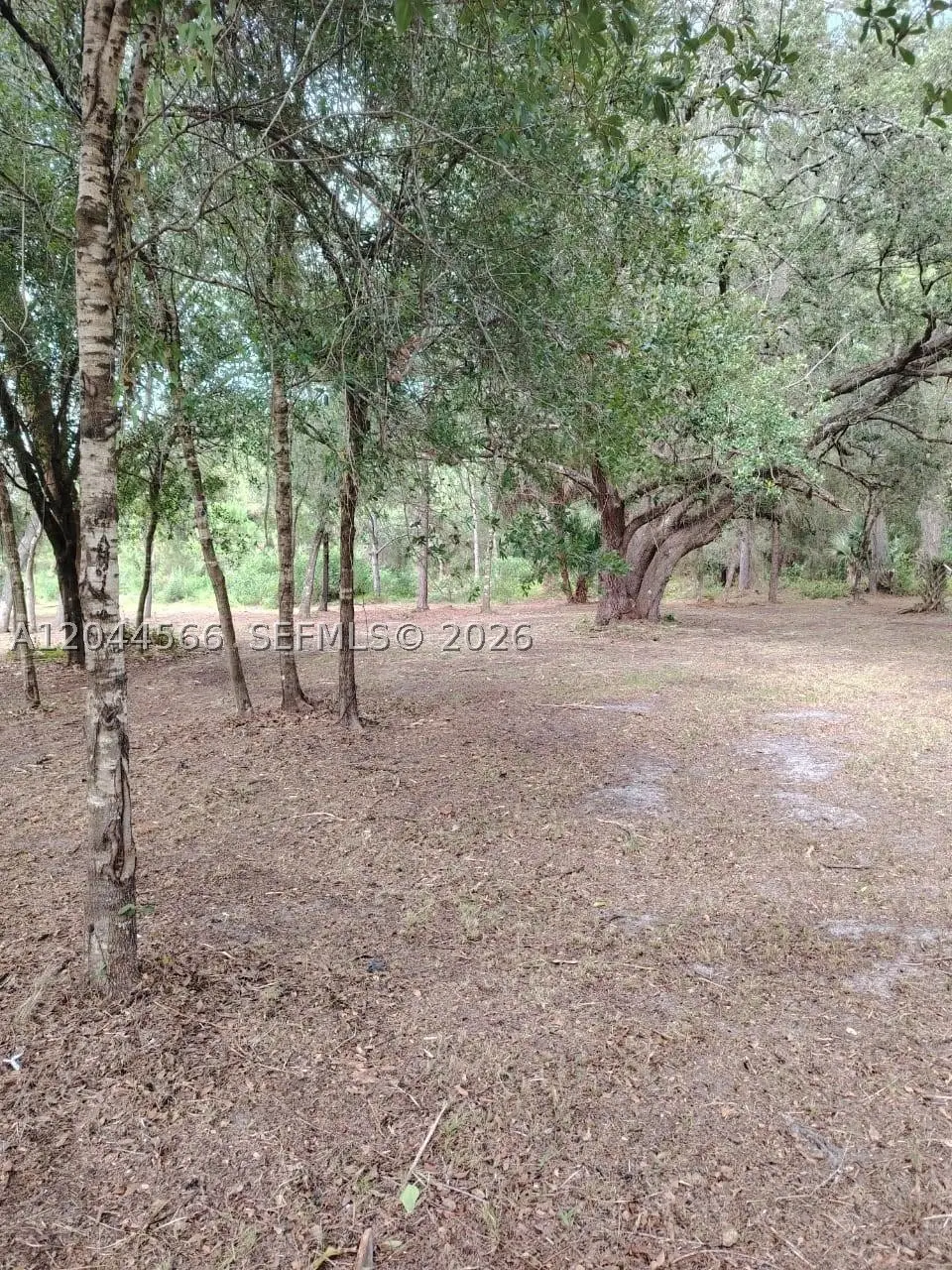 175 Avenida Del Club, Clewiston, FL 33440 - #1
