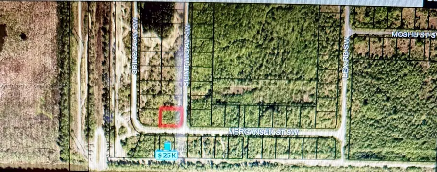 Merganser St SW & Slimtwig Ave, Palm Bay, FL 32908 - #2