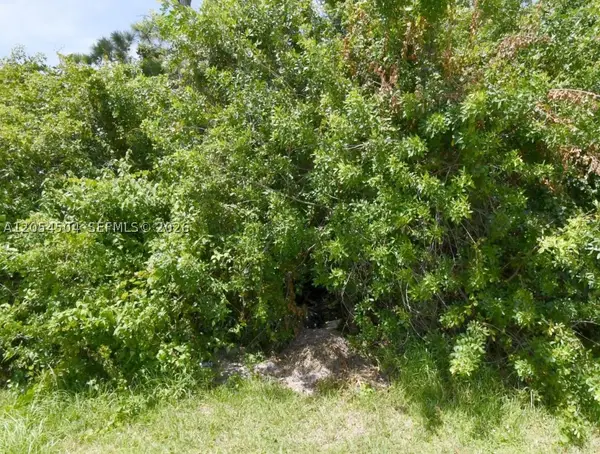 1241 SW Idol, Port St Lucie, FL 34953