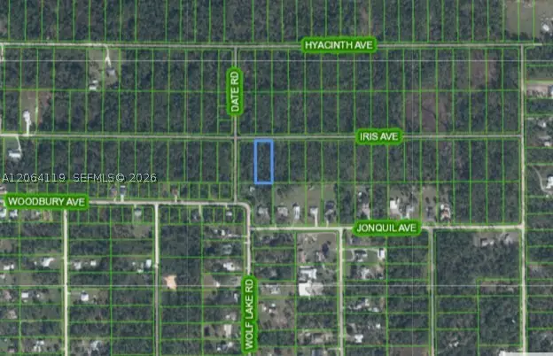 1141 Iris Ave, Sebring, FL 33875 - #1