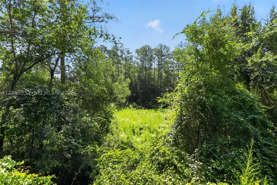 119 Ramsey Dr, Melrose, FL 32666 - #3