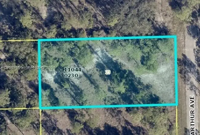 2321 Macarthur Ave, Alva, FL 33920 - #2