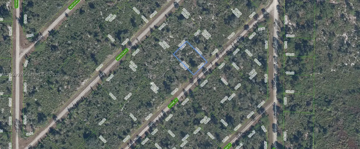 3451 Lake June, Lake Placid, FL 33852 - #1