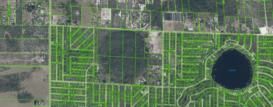 3517 Horne Street, Lake Placid, FL 33852 - #3