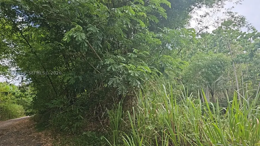 00 Fort George, Saint Mary, Jamaica, Lauderhill, FL  - #2