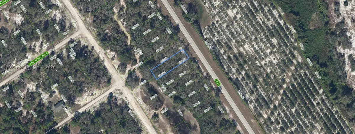903 County Road 29, Lake Placid, FL 33852 - #1
