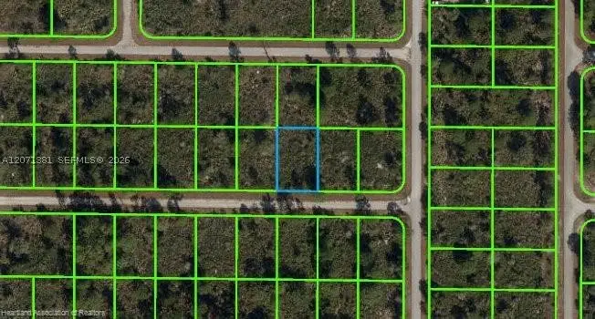 105 Citation St, Lake Placid, FL 33852 - #3