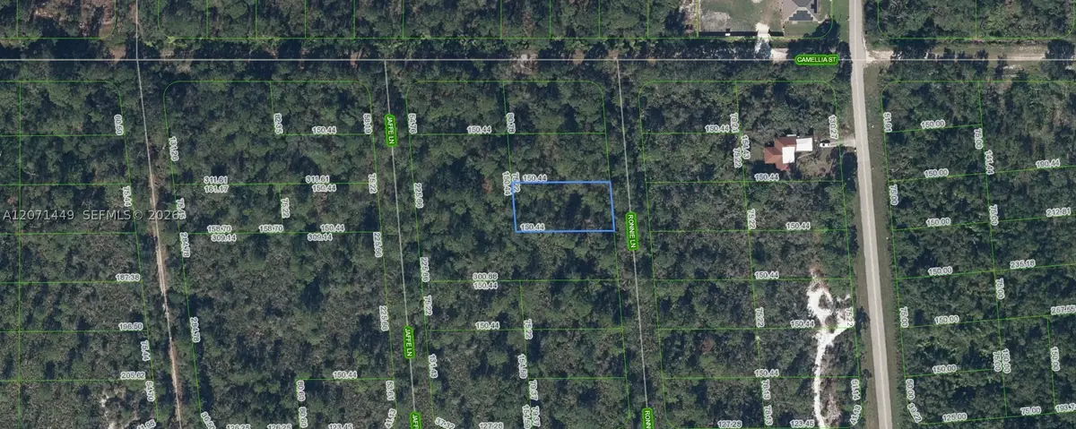722 Ronnie Lane, Lake Placid, FL 33852 - #1