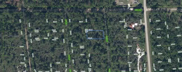 722 Ronnie Lane, Lake Placid, FL 33852