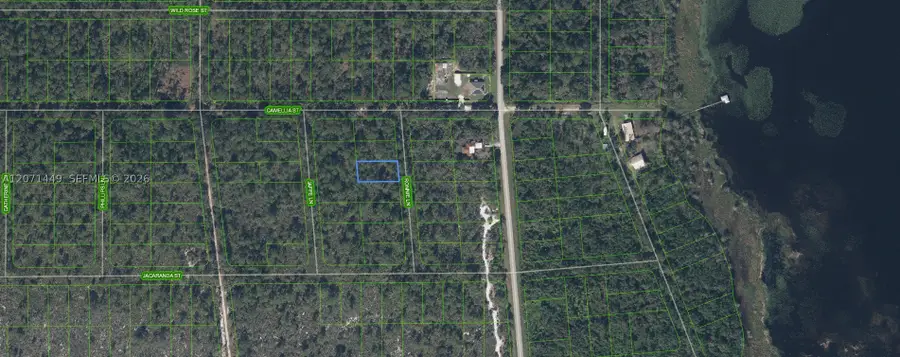 722 Ronnie Lane, Lake Placid, FL 33852 - #2