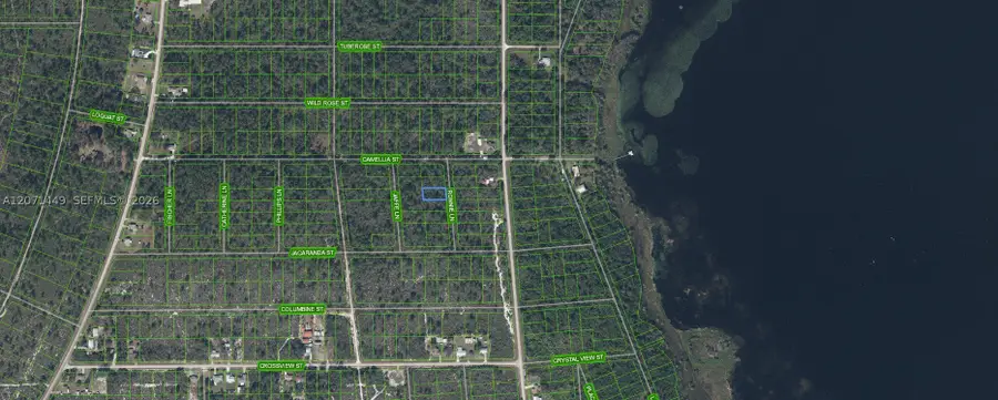 722 Ronnie Lane, Lake Placid, FL 33852 - #3