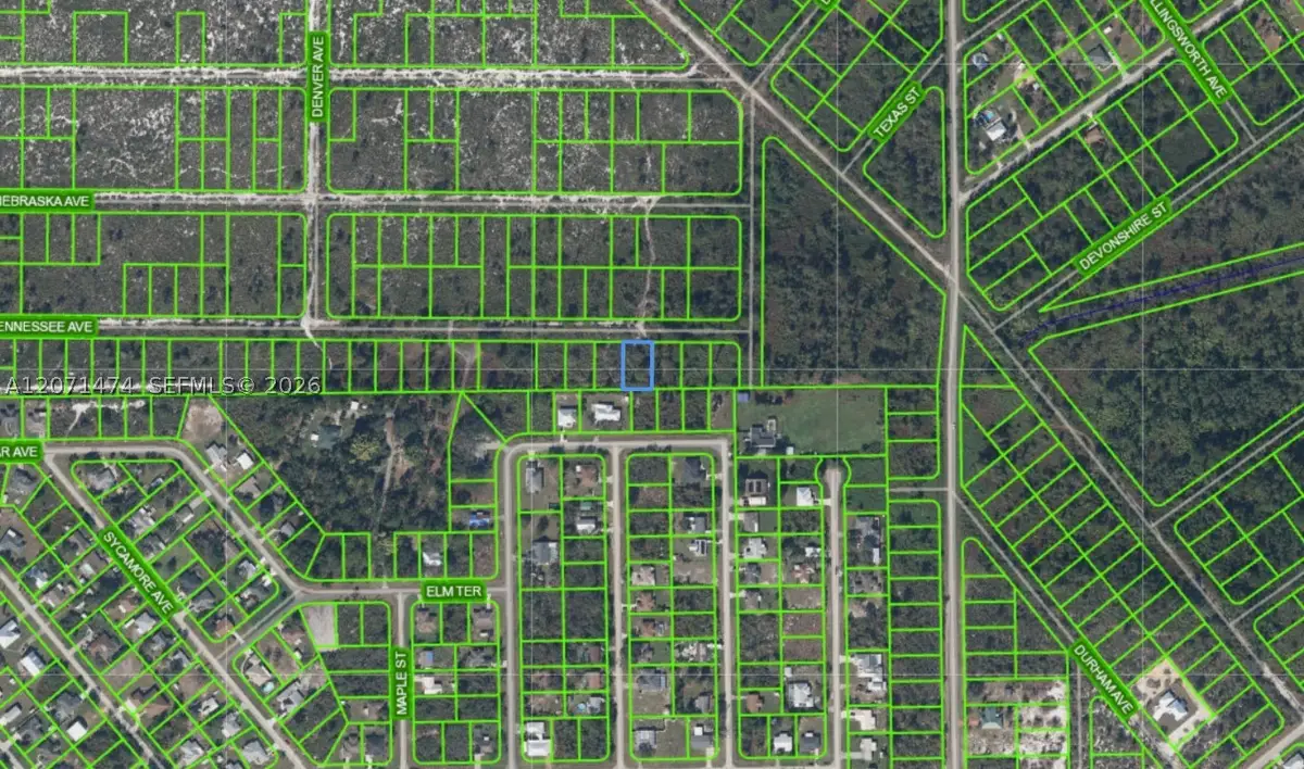 601 Tennessee, Lake Placid, FL 33852 - #1