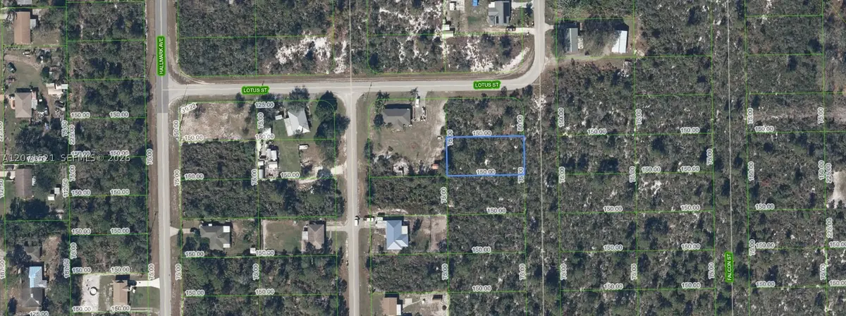 348 Sandpiper St, Lake Placid, FL 33852 - #1