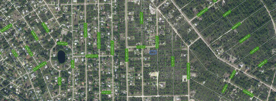 348 Sandpiper St, Lake Placid, FL 33852 - #2