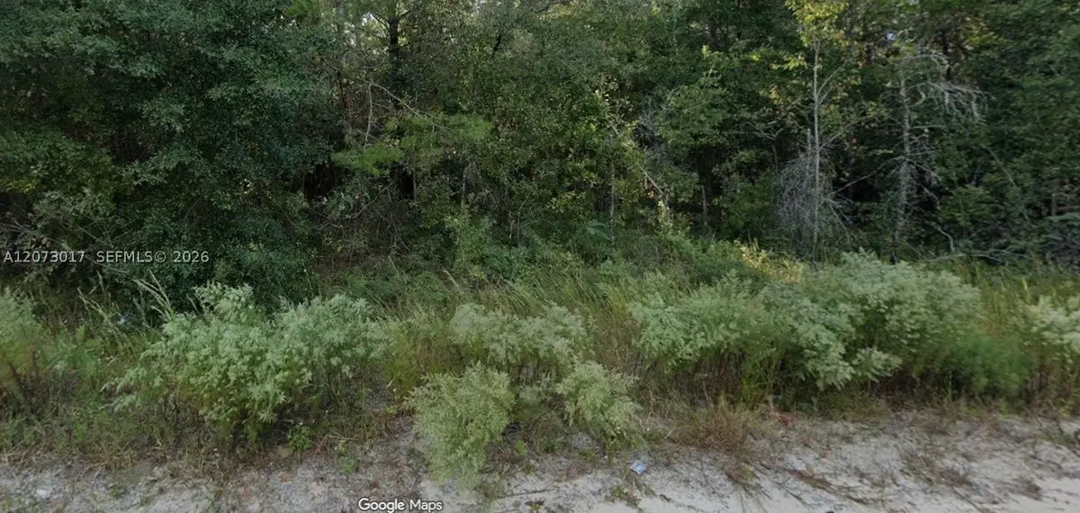 7696 Casa Grande Blvd, Keystone Heights, FL 32656 - #1