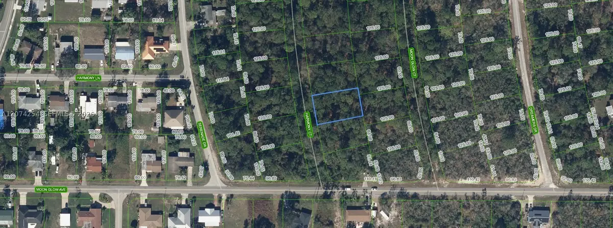 209 Harmony Court, Lake Placid, FL 33852 - #1