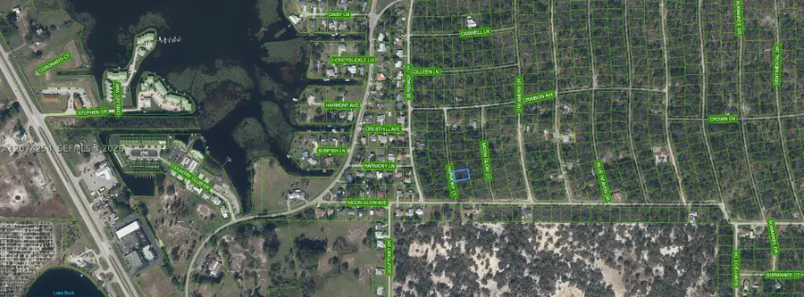 209 Harmony Court, Lake Placid, FL 33852 - #3