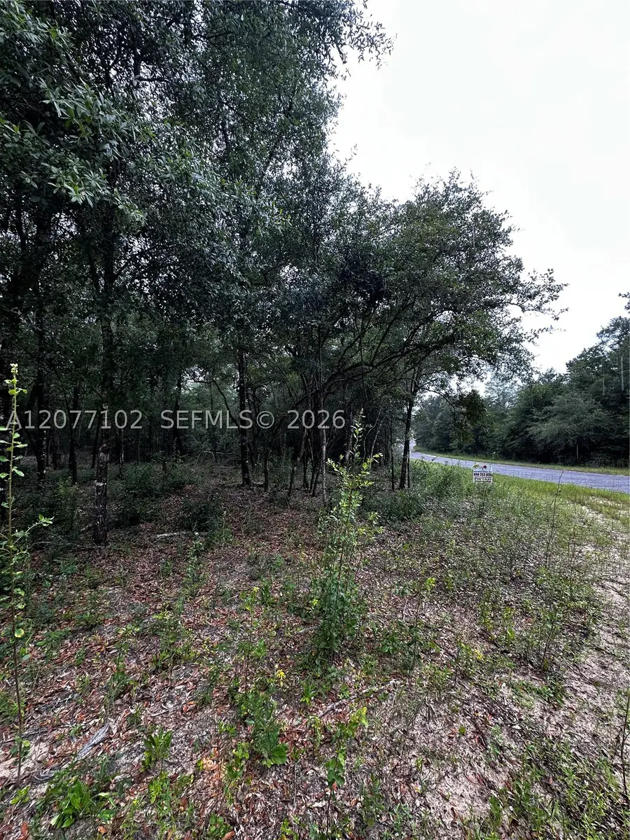 0000 Diane Place, Other, FL 32428 - #2