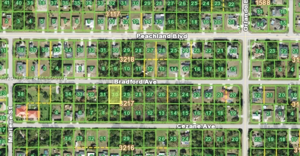 22443 Bradford Ave, Port Charlotte, FL 33952 - #1
