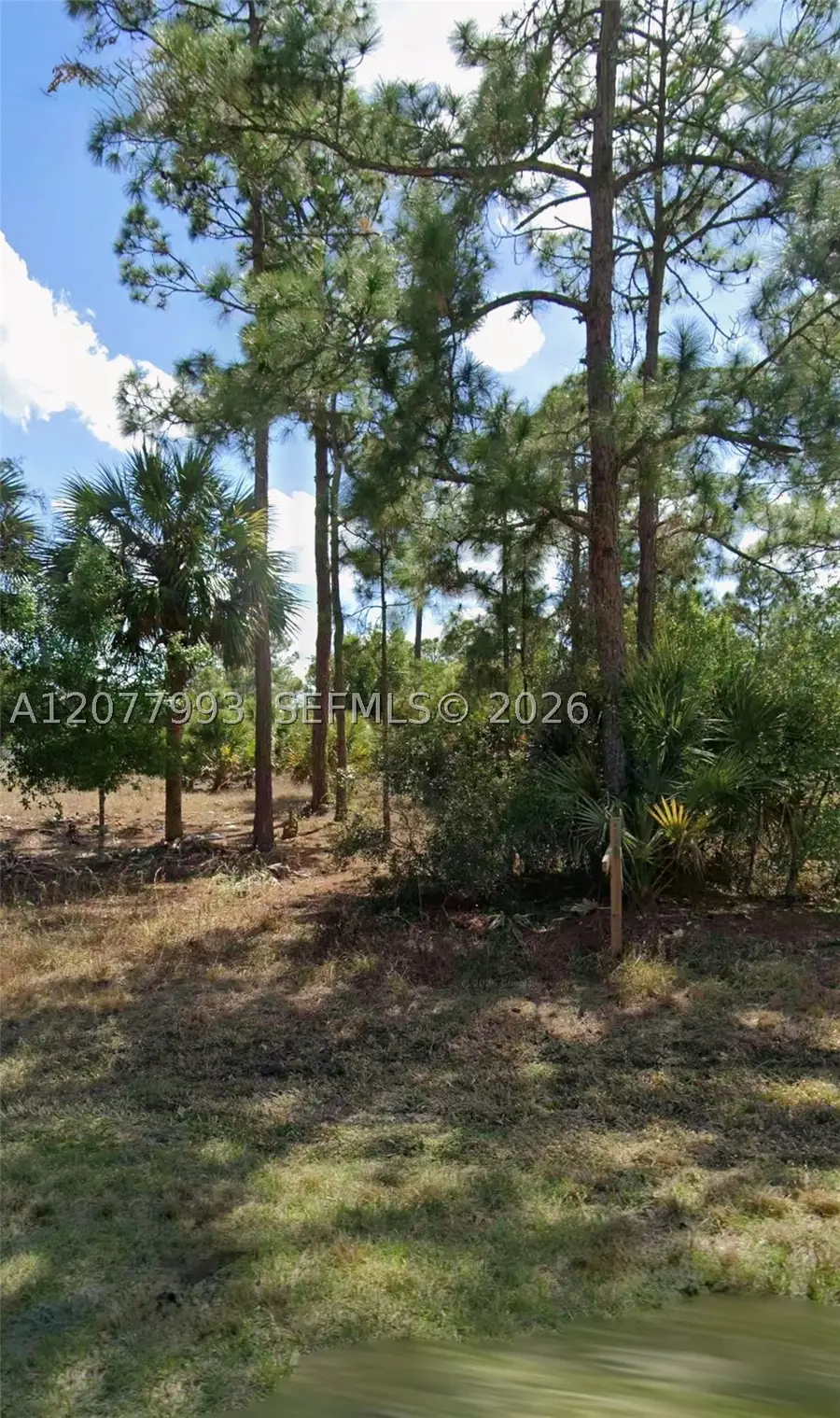 536 Hunting Club Ave, Montura, FL 33220 - #3
