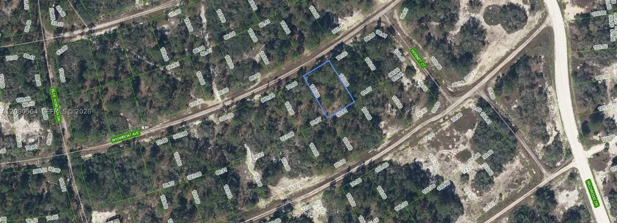 387 Showboat Ave, Lake Placid, FL 33852 - #1