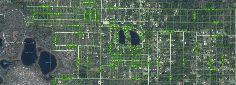 1307 Hyacinth Ave, Sebring, FL 32303 - #3