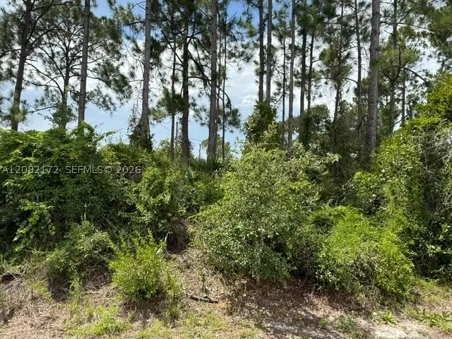 3607 Peugeot St, Sebring, FL 33872 - #3