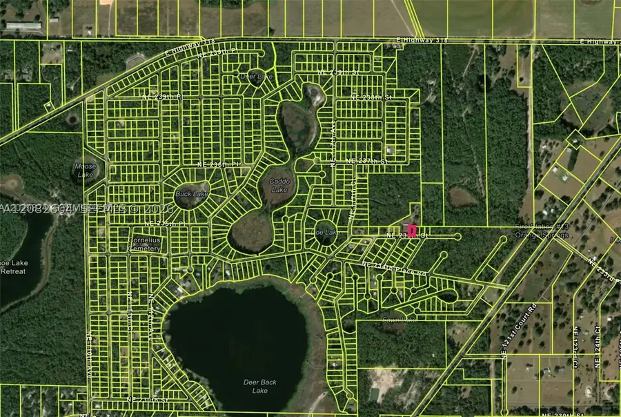 0 NE 235th Street, Fort McCoy, FL 32134 - #3