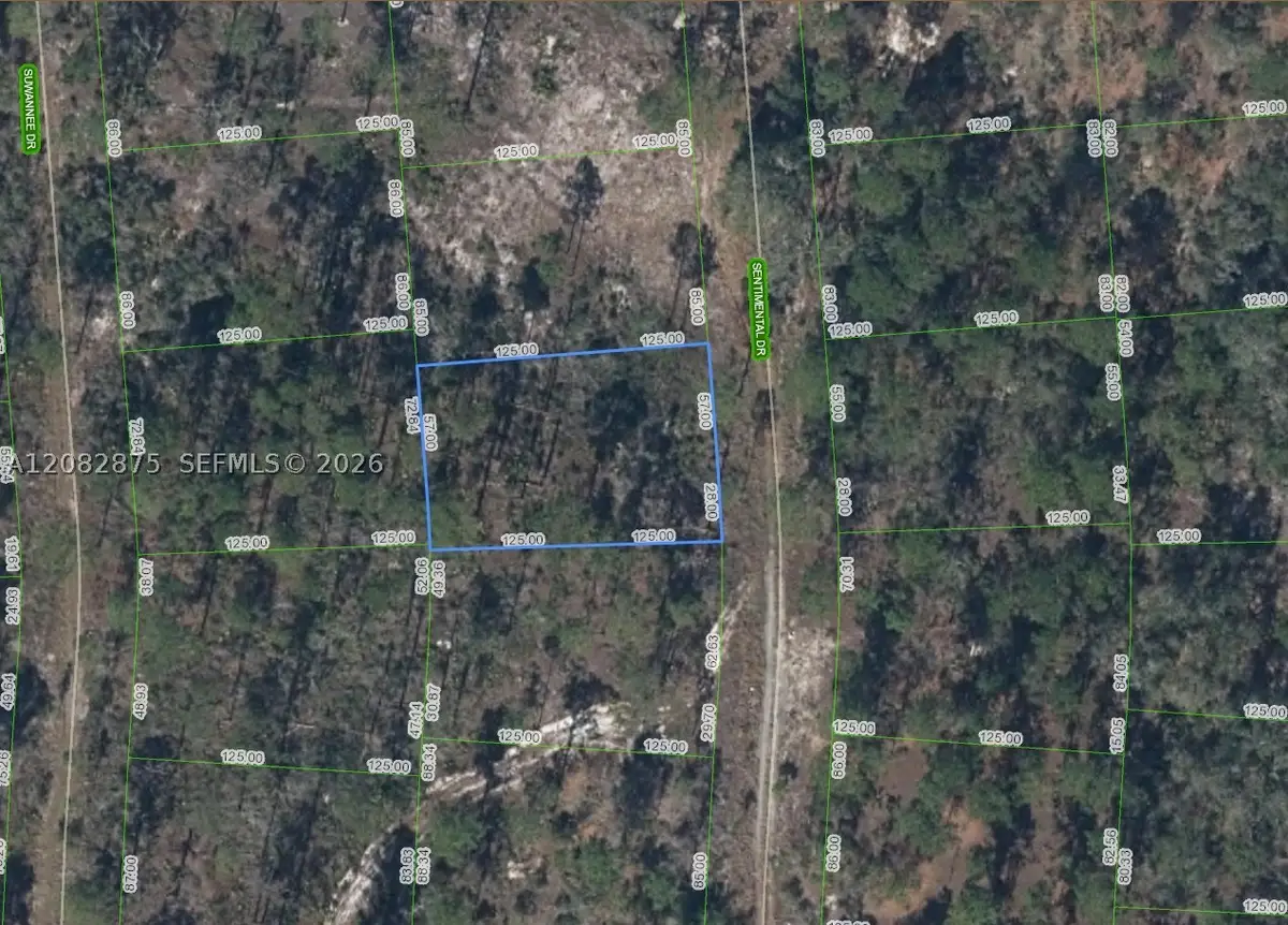 264 Sentimental Dr, Lake Placid, FL 33852 - #1