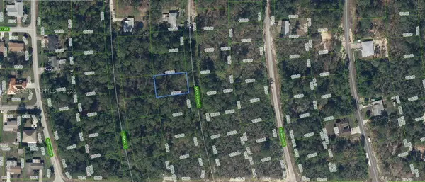 218 Moon Glow Court, Lake Placid, FL 33852