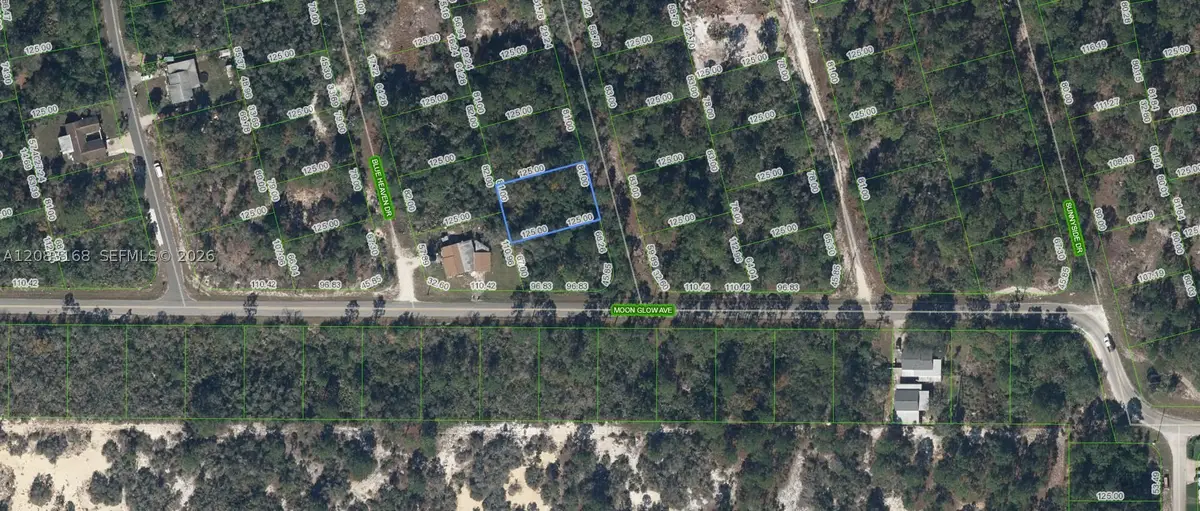 204 Rainbow Drive, Lake Placid, FL 33852 - #1