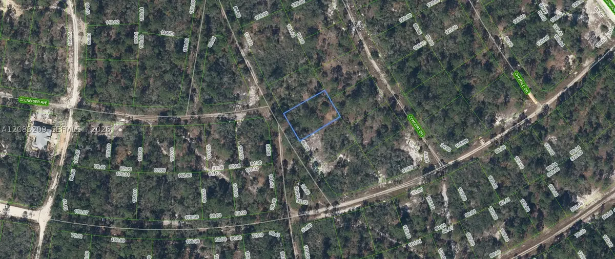 379 Blue Horizon Drive, Lake Placid, FL 33852 - #1