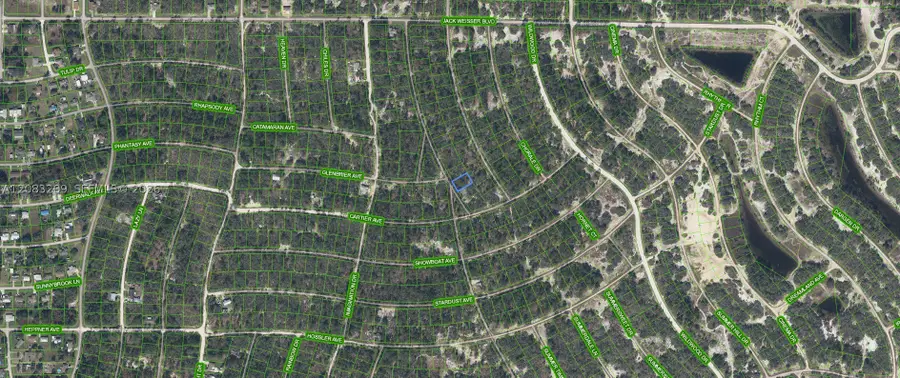 379 Blue Horizon Drive, Lake Placid, FL 33852 - #2