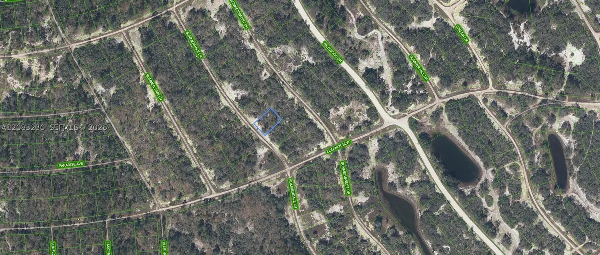 337 Summerdale Lane, Lake Placid, FL 33852 - #1