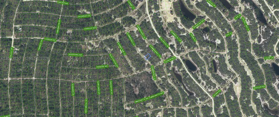 337 Summerdale Lane, Lake Placid, FL 33852 - #2