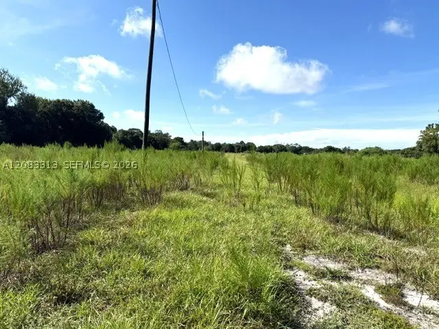 3003 Hicks Rd, Lorida, FL 33857 - #2
