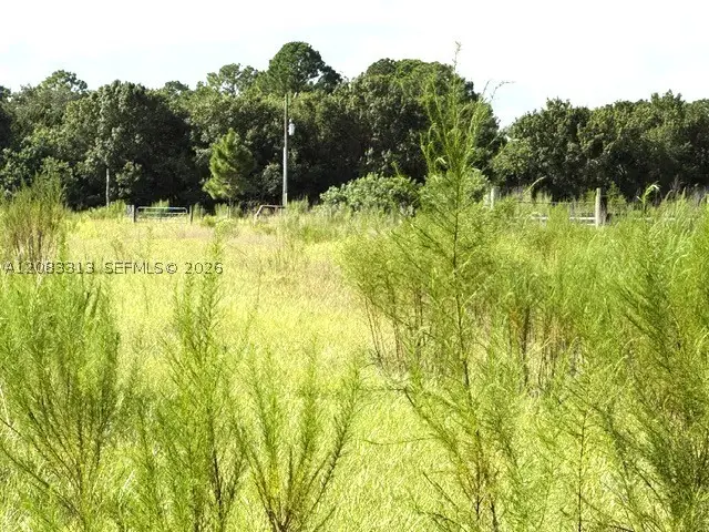 3003 Hicks Rd, Lorida, FL 33857 - #3