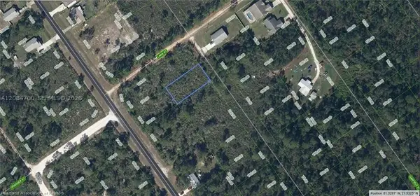 570 Bottlebrush Ave, Lake Placid, FL 33852