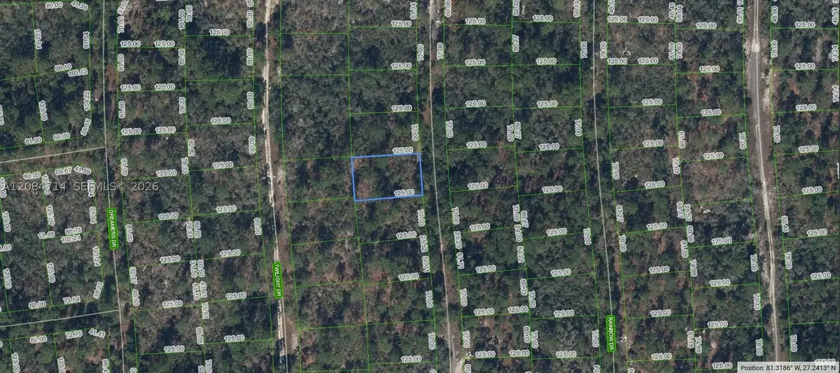 268 Blue Heaven Dr, Lake Placid, FL 33852 - #1