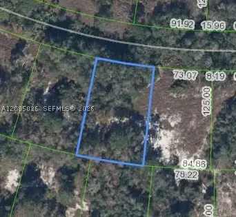 783 Clair De Lune Dr, Lake Placid, FL 33852 - #1