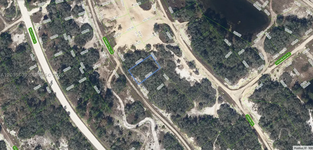 317 Summer Hill Dr, Lake Placid, FL 33852 - #1