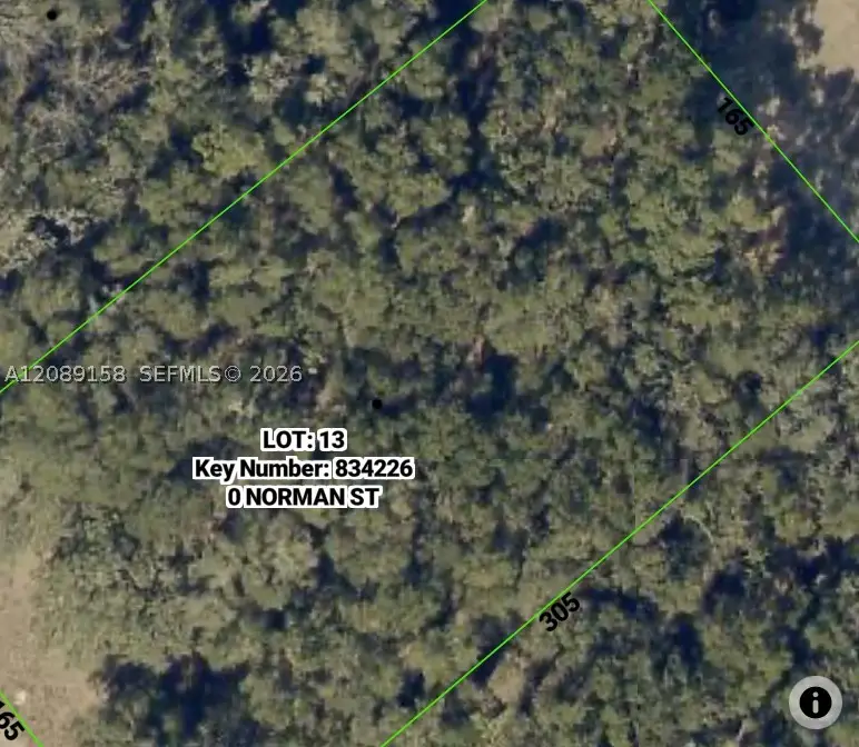 0 Norman St, Webster, FL 33593 - #1