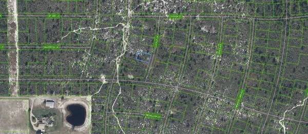 431 Lucille Lane, Lake Placid, FL 33852