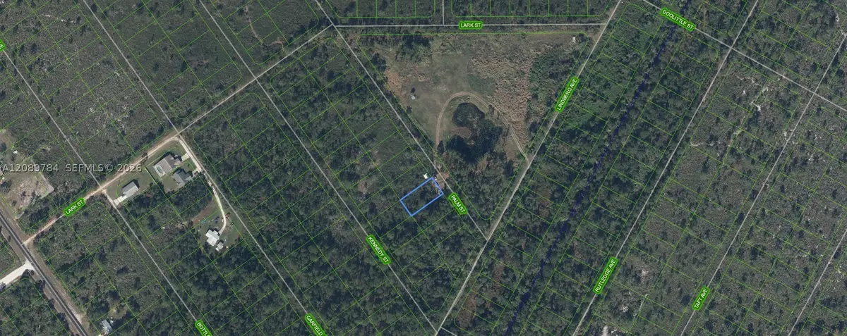546 Palm Street, Lake Placid, FL 33852 - #1