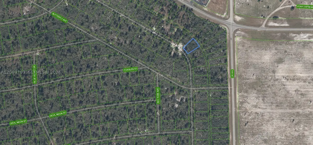 556 Ebbtide, Lake Placid, FL 33852 - #1