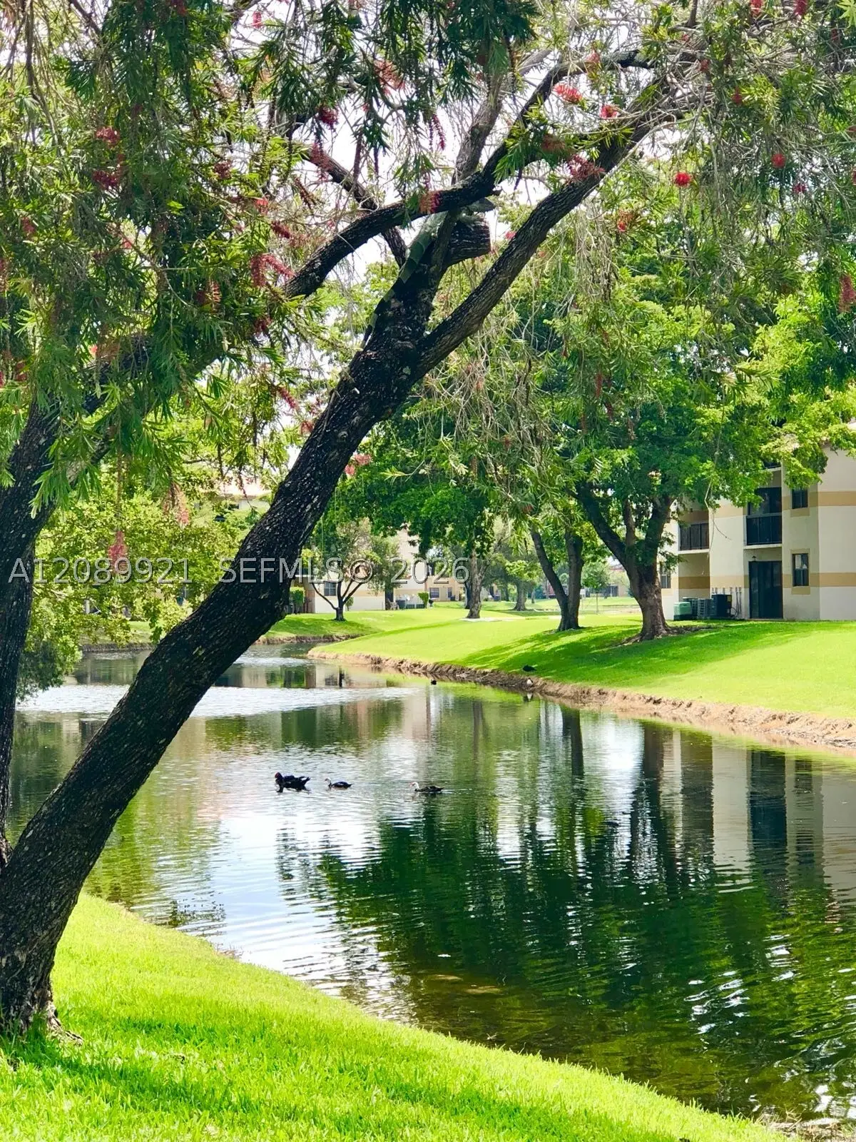9897 Nob Hill Ln #9897, Sunrise, FL 33351 - #1