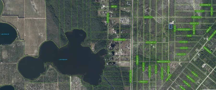 881 Papaya Street, Lake Placid, FL 33852 - #2