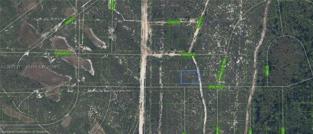 6033 Royal Palm St, Sebring, FL 33870 - #1